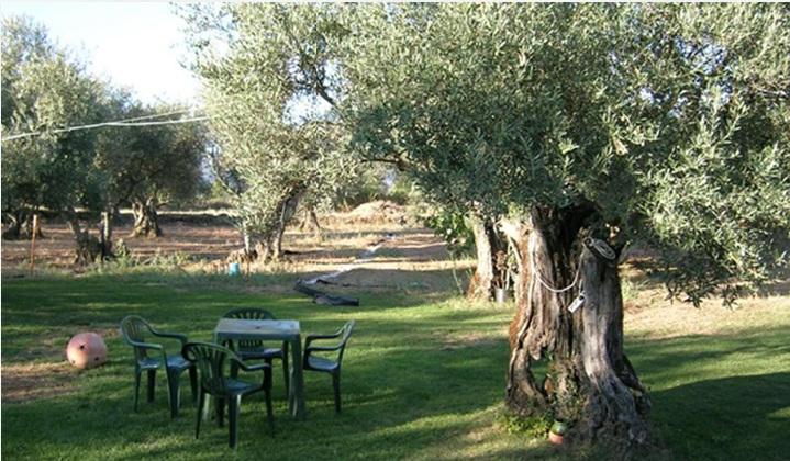 Tejeda de Tiétar Hotel Rural Hojaranzos מסעדה תמונה